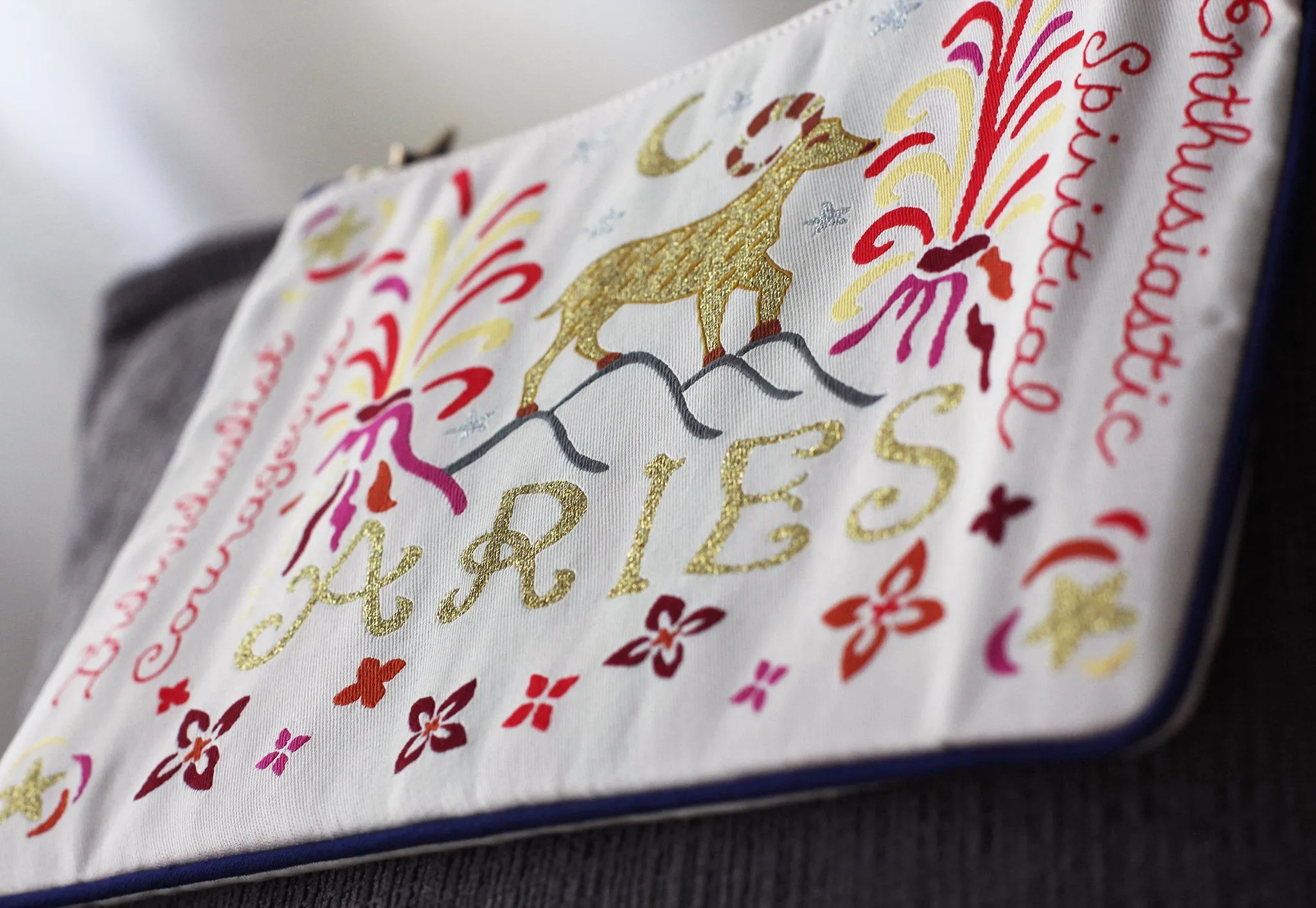 Aries Astrology Zip Pouch