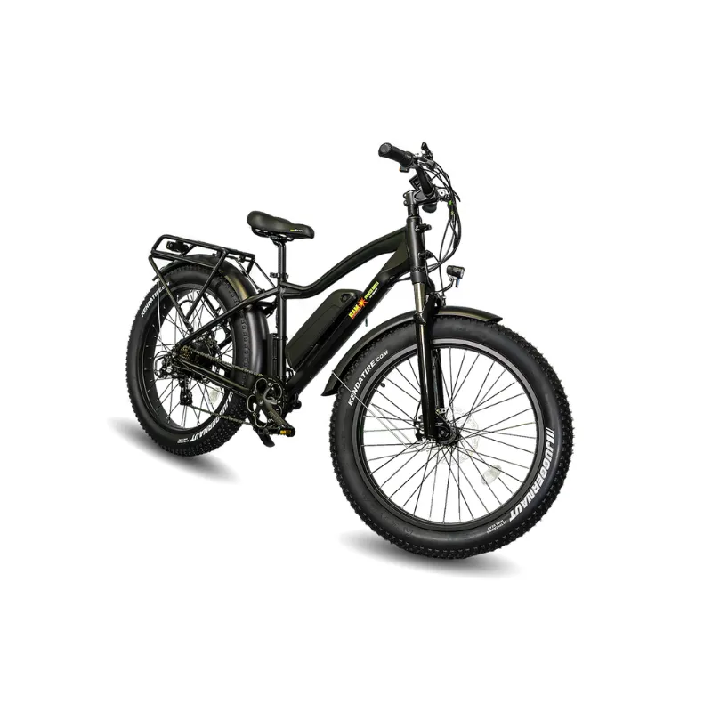 EWheels Supreme Electric Bike, 48V/14Ah, 750W