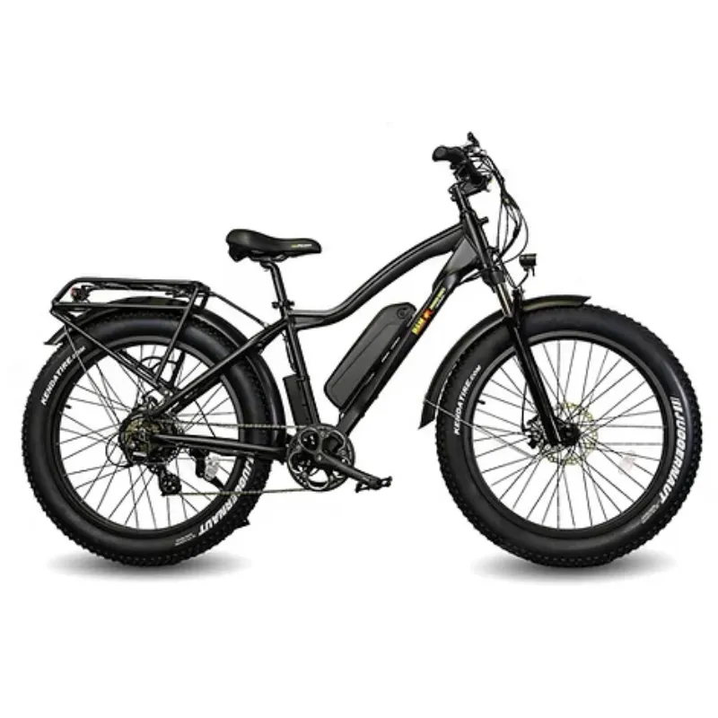 EWheels Supreme Electric Bike, 48V/14Ah, 750W