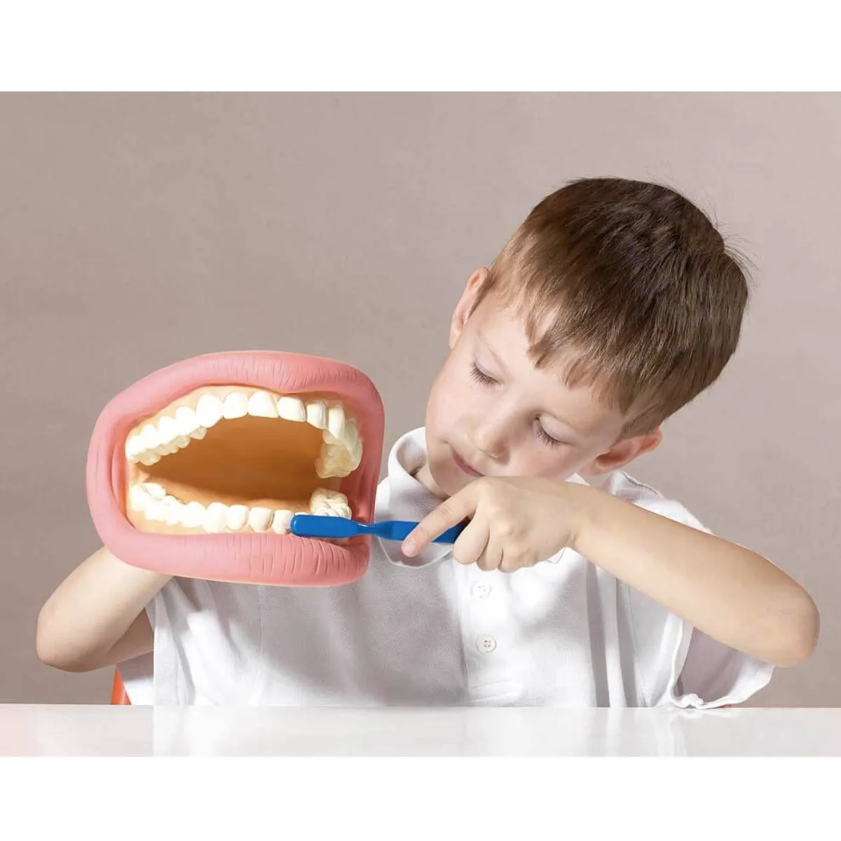 Giant Teeth Demonstration Model Early Science STEM Toys 3yrs 