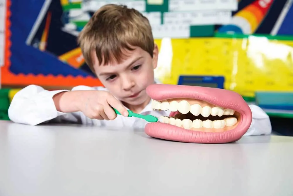 Giant Teeth Demonstration Model Early Science STEM Toys 3yrs 