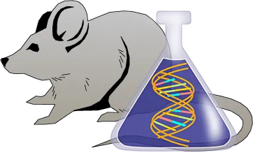 Mouse Factor IX Genetically Deficient Kidney Lyophilized