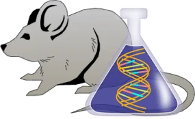 Mouse Factor IX Genetically Deficient Kidney Lyophilized