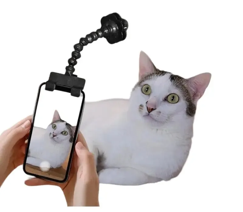 Pet Photography Tool Cat Dog And Dog Viewing Lens Teddy Camera Toy Mobile Phone Camera Holder Selfie Clip Supplies Pet Products