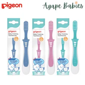 Pigeon Training Toothbrush Lesson 3 - Green /Blue/Pink (Mix Color)