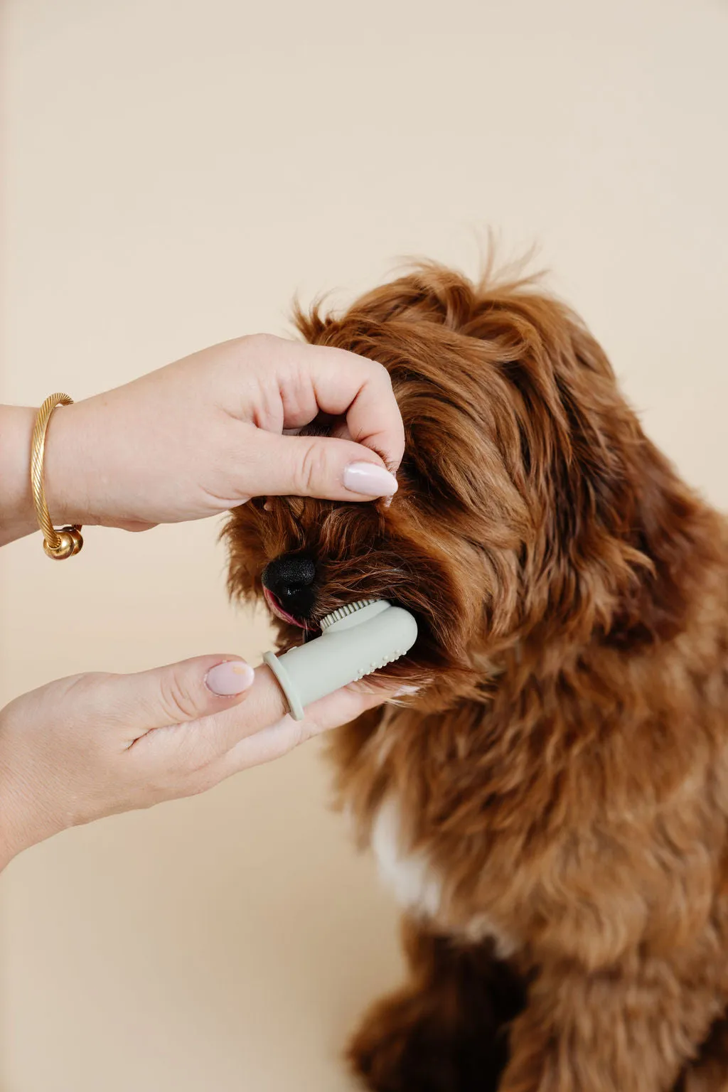 Puppy Breath Toothbrush