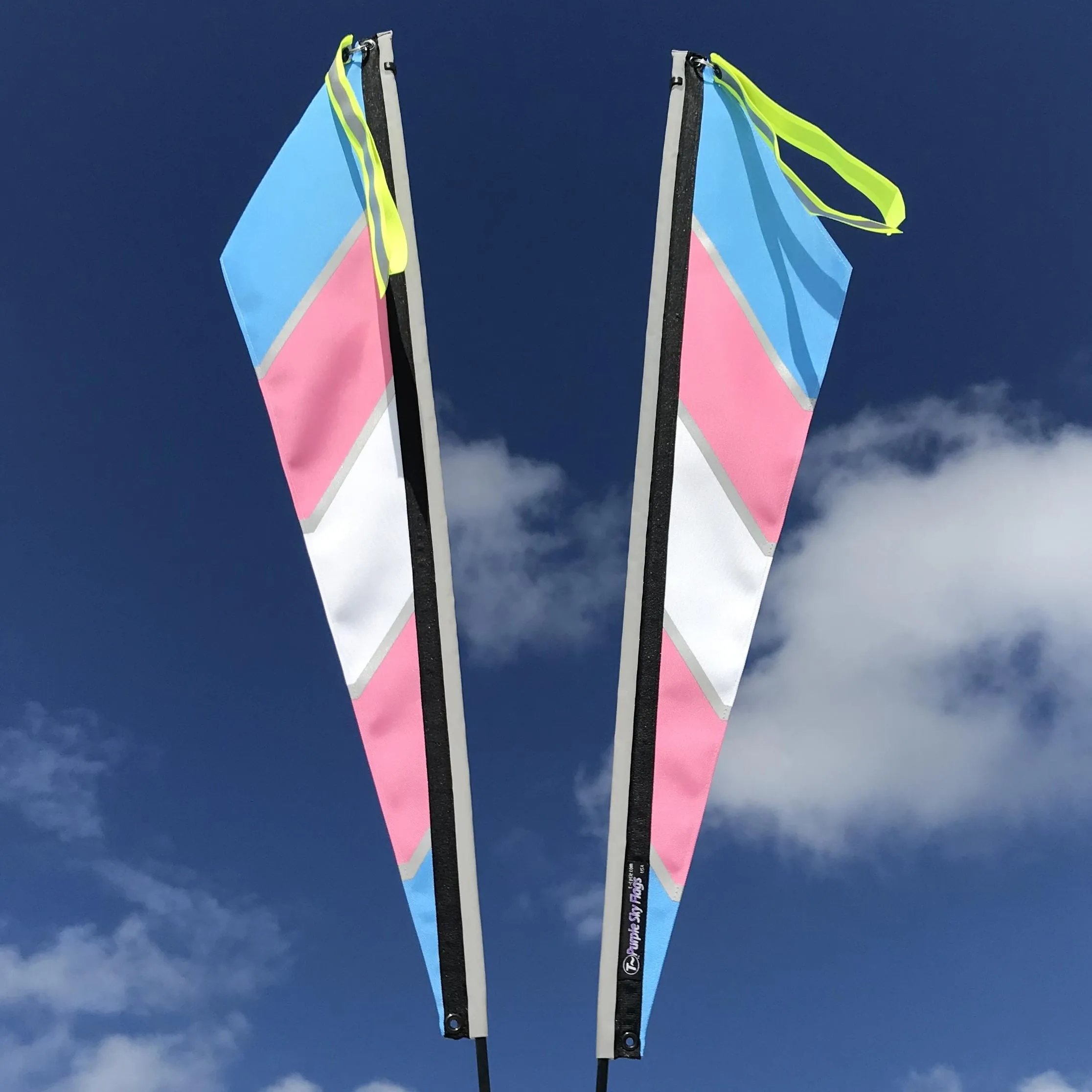 Purple Sky Flags