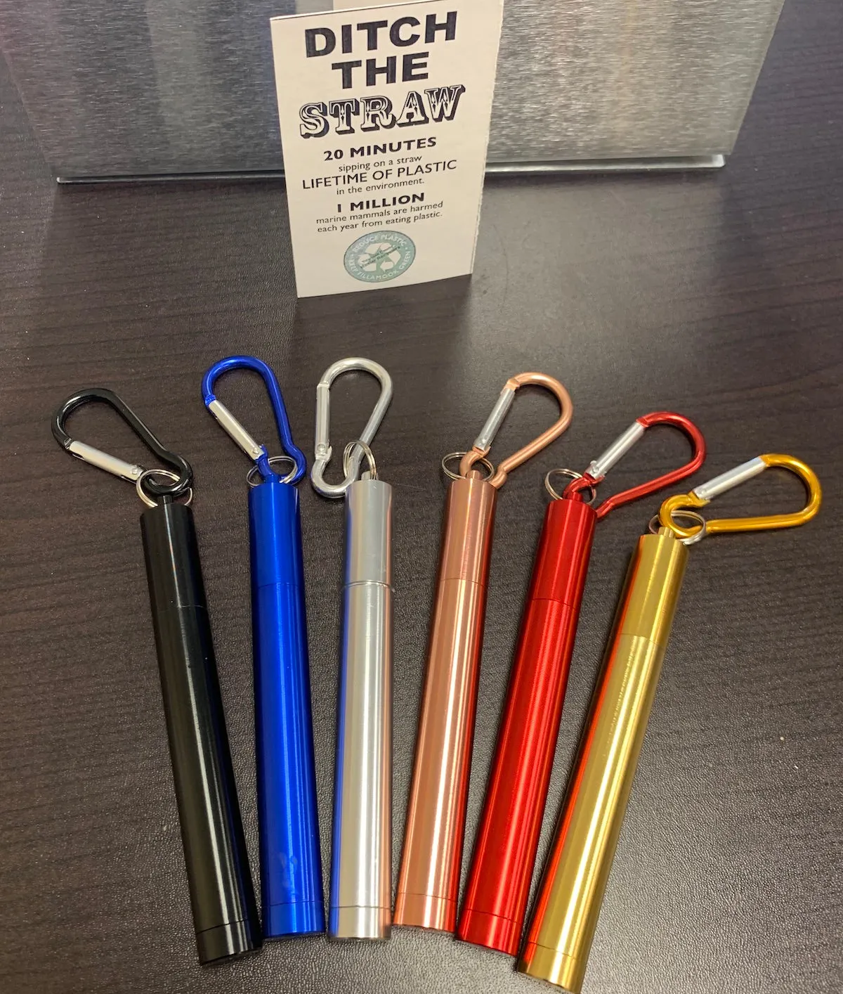 Telescoping - Stainless Straw