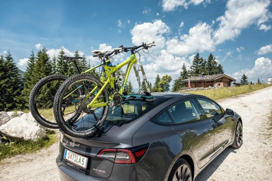 TreeFrog Pro 2 Bike Rack