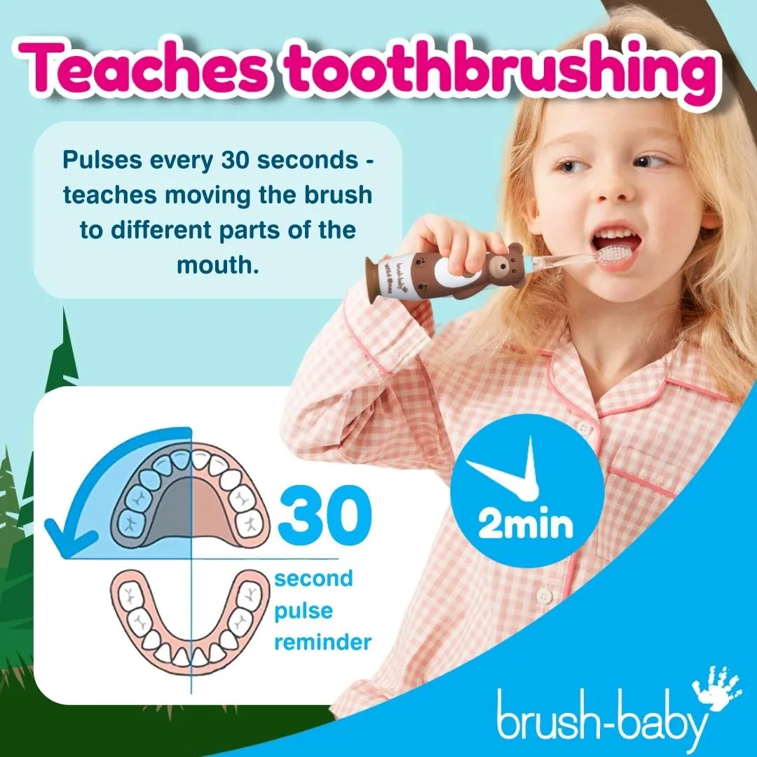 WildOnes™ Bear Kids Electric Rechargeable Toothbrush